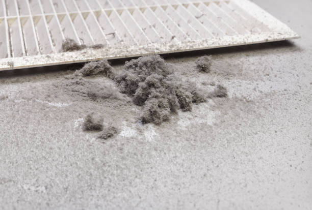 Best Residential Air Duct Cleaning  in Stephenville, TX