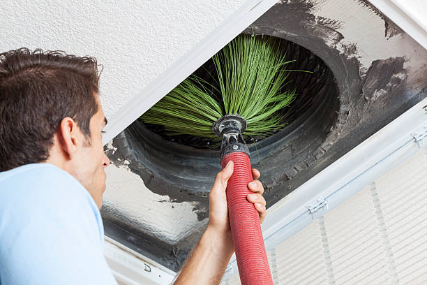 Air Duct Mold Removal in TX